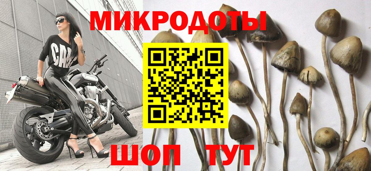 Алапаевск  Галлюциногенные грибы мухоморы  купить наркотик  Вход с VPN 