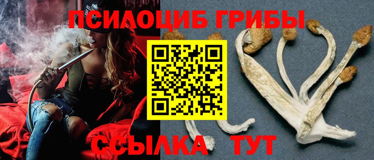 Галлюциногенные грибы MAGIC MUSHROOMS Алапаевск